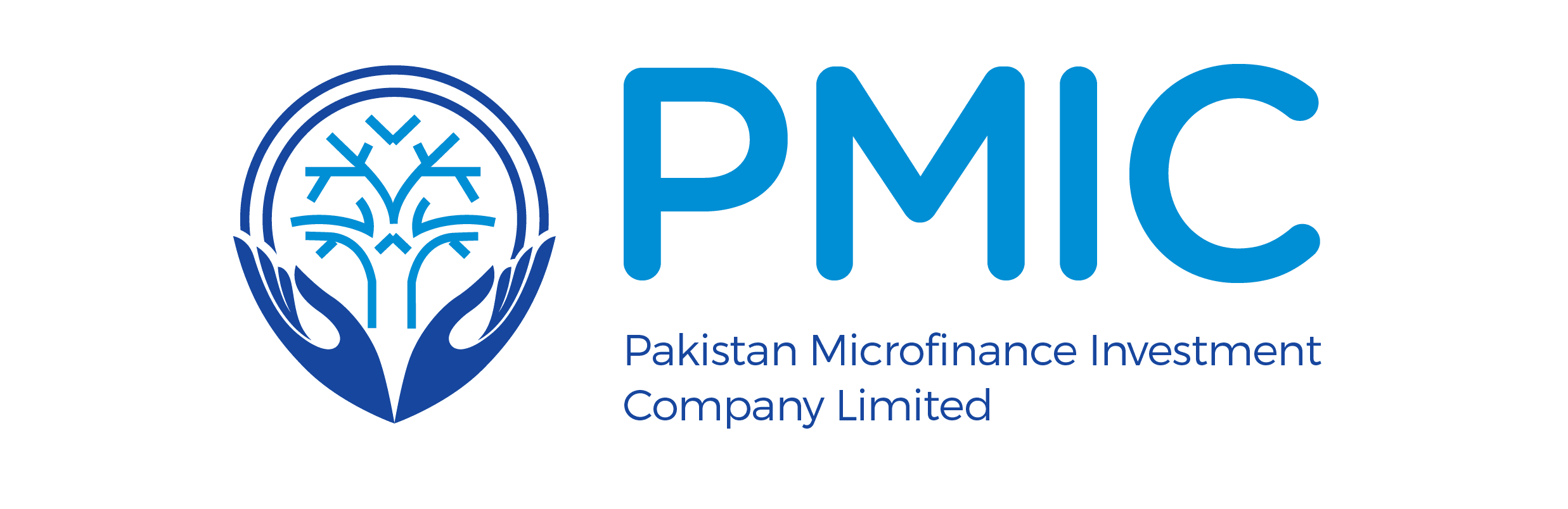 PMIC.png
